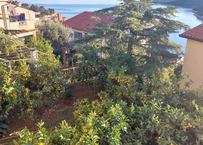 아파트 Tangerine 라벡